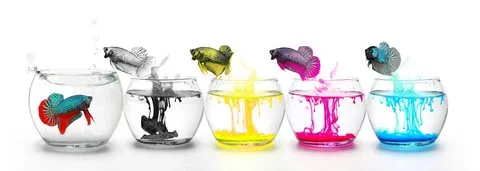 Structured Settlement primary Secondary Tertiary