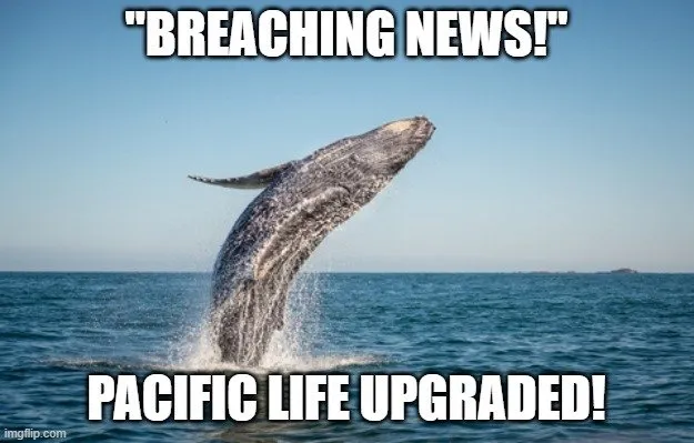 pacific life structured settlements